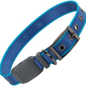 LED Dog Collar