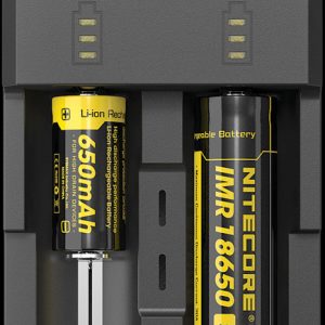 Intellicharger Battery Charger