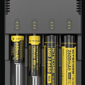 Intellicharger Battery Charger