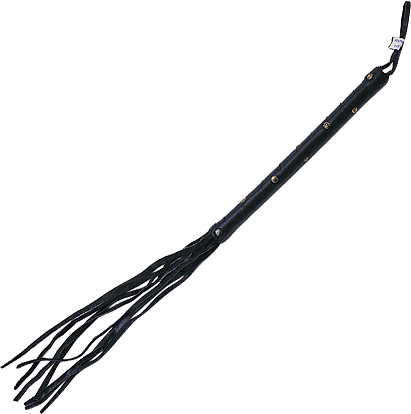 Cat of Nine Tails