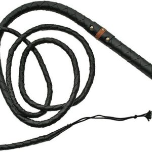 Bullwhip
