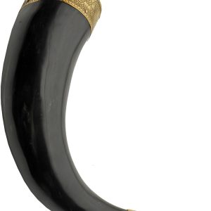 Fancy Viking Horn