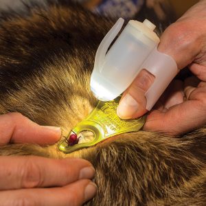 TickSee Tick Removal Kit