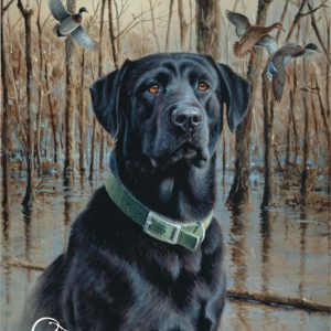 Ducks Unlimited