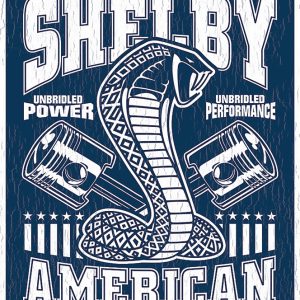 Shelby Unbridled