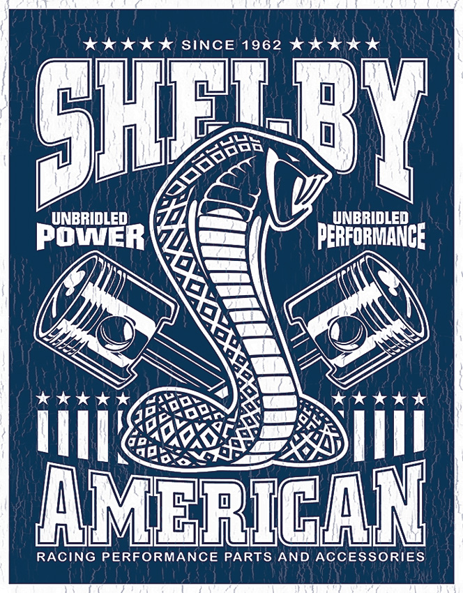 Shelby Unbridled