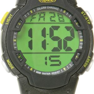 Guardian Watch