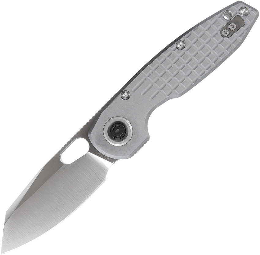 Ankylo Vanchor Lock Gray