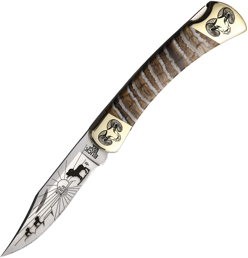 Custom Buck 110 Lockback