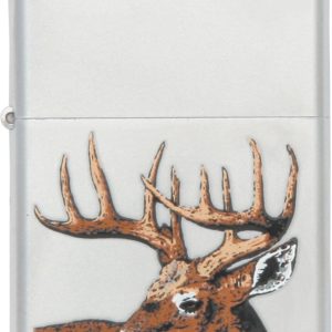 Whitetail Buck Deer