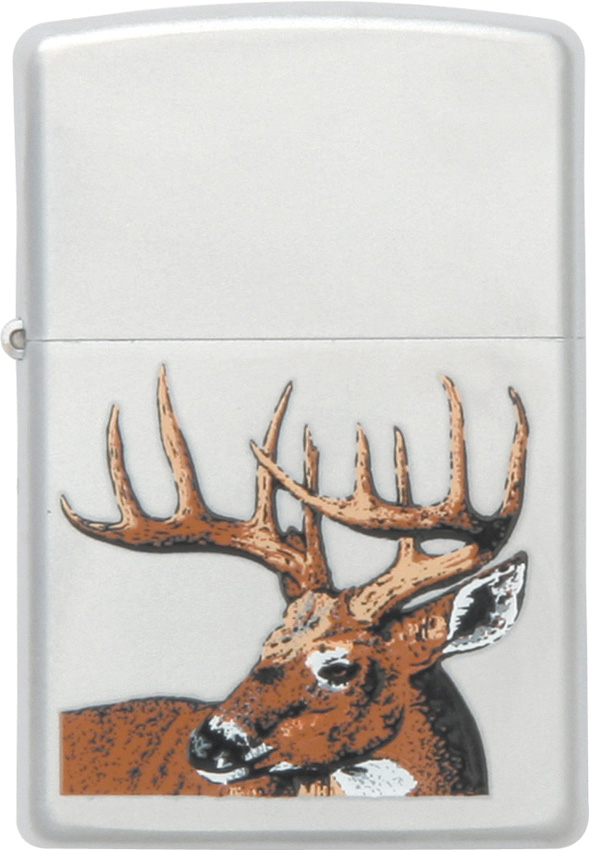 Whitetail Buck Deer