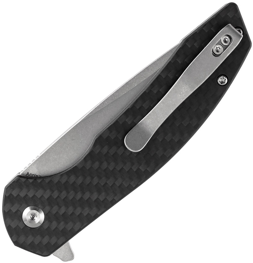 Accipiter - Image 3