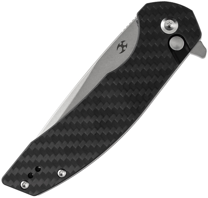 Accipiter - Image 6