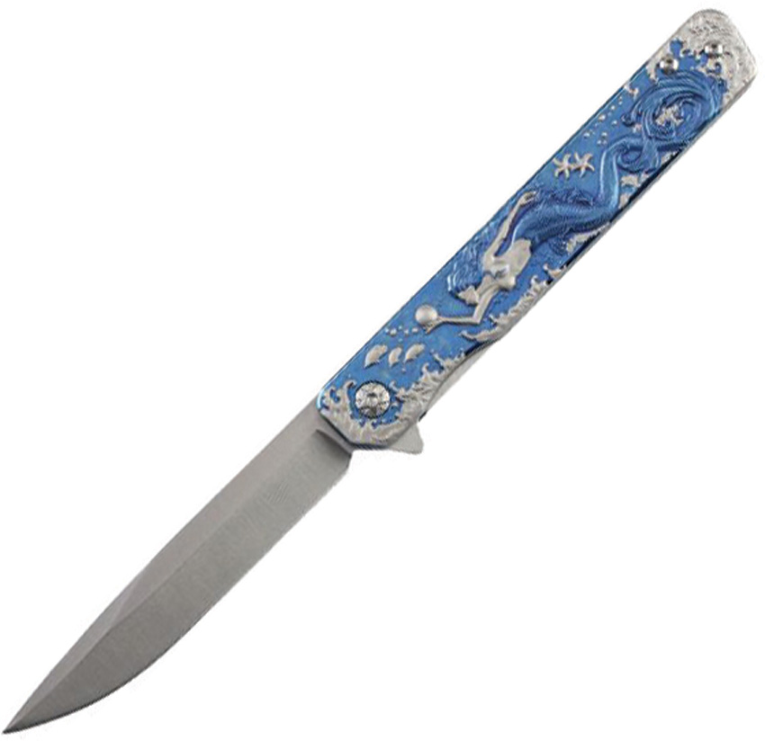 Folder Blue